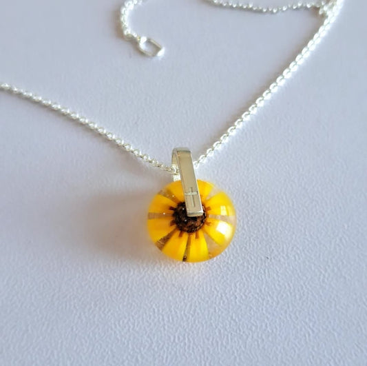 Sunflower - Coss